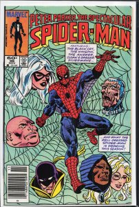 The Spectacular Spider-Man #96 (1984) Spider-Man