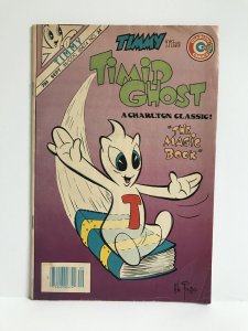 Timmy The Timid Ghost #24