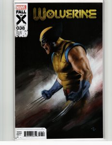 Wolverine #38 Granov Cover (2023)