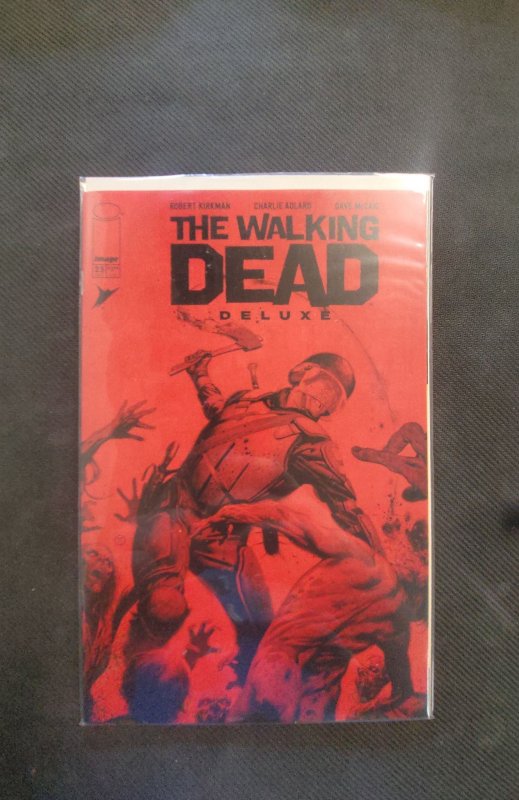 The Walking Dead Deluxe #25 Cover D