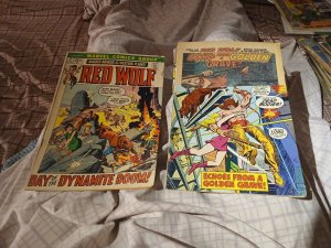 Red Wolf 2 & 7 Marvel Comics 1972 Bronze Age Avengers Superhero Lot Run Set...