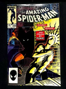 Amazing Spider-Man #256 VF 8.0