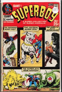 Superboy #174 (1971)