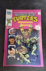 Teenage Mutant Ninja Turtles Adventures Special #1 (1992)