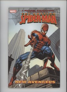 The Amazing Spider-Man #520 (2005)