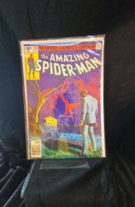 The Amazing Spider-Man #196 Newsstand Edition (1979) Spider-Man 