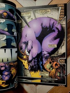 THE MAXX #1 First Issue (Image Comics 1993) 1st Appearance! By Sam Kieth VF