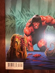 Conan the Cimmerian #16 (2009)