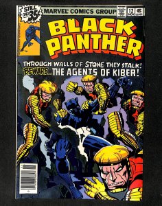 Black Panther #12