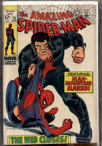 The Amazing Spider-Man #73 (1969) Spider-Man [Key Issue]
