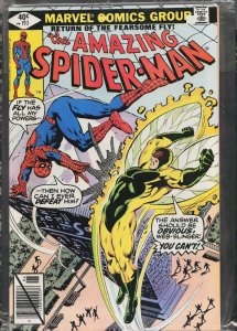 The Amazing Spider-Man #193 (1979) Spider-Man