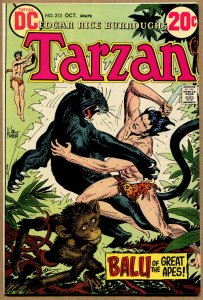 Tarzan #210 - Joe Kubert Tarzan! - 1972 (Grade 9.0) WH