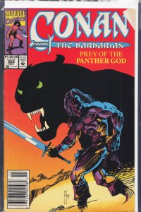 Conan the Barbarian #262 (1992) Conan