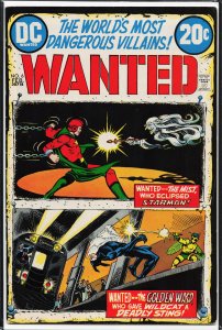 Wanted, The World's Most Dangerous Villains #6 (1973) Wildcat