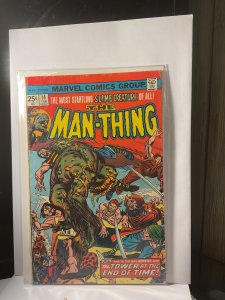 Man-Thing #14 (1975)