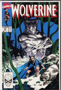 Wolverine #25 (1990) Wolverine
