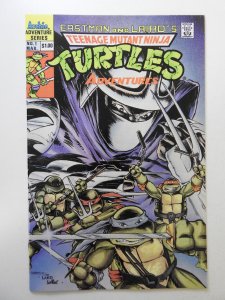 Teenage Mutant Ninja Turtles Adventures #1 (1989) NM Condition!