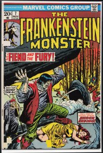 The Frankenstein Monster #7 (1973) Frankenstein Monster