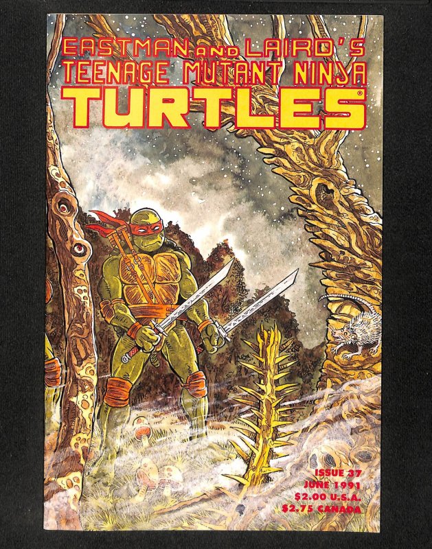 Teenage Mutant Ninja Turtles #37