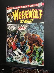 Werewolf by Night #10 (1973) Midgrade bondage cover key FN- Wow!