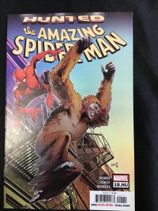 The Amazing Spider-Man #18.HU (2019)