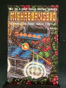 Teenage Mutant Ninja Turtles Micro-Series #2 Cover RI-B (2011)