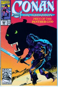 Marvel's Conan The Barbarian(Vol 1) # 262