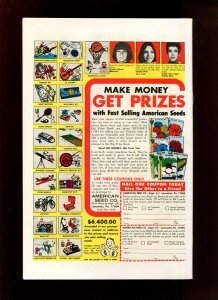 SWAMP THING #22 - ERNIE CHAN COVER (9.0) 1976