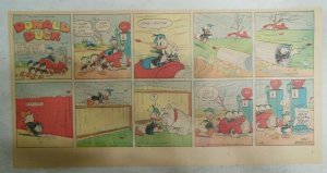 (49) Donald Duck Sunday Pages by Walt Disney from 1945 Third Page Size