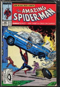 The Amazing Spider-Man #306 (1988) Spider-Man
