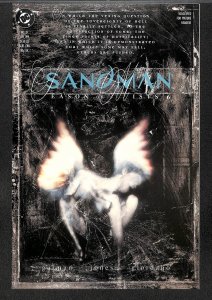 The Sandman #27 (1991)