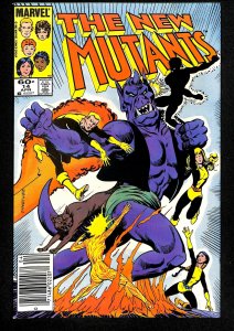 The New Mutants #14 (1984)