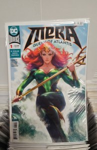 Mera: Queen of Atlantis #1 Variant Cover (2018)