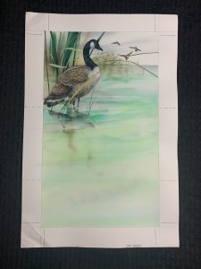 CALENDAR Large Painted Geese in Marsh & Flying 10x15.5 Greeting Card Art #4071