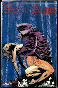 Dark Angel #2 (1991)