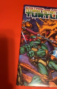 Teenage Mutant Ninja Turtles #6 (1986)1st print