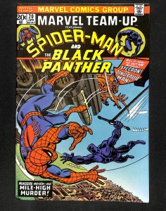 Marvel Team-up #20 Black Panther!