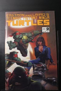 Teenage Mutant Ninja Turtles #2 3rd Print Variant (1984)
