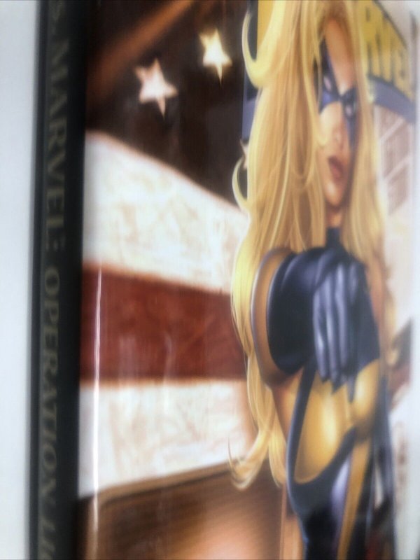 Ms. Marvel Operation Lightning Storm (2007) TPB • Vol # 3 • Brian Reed • Torre