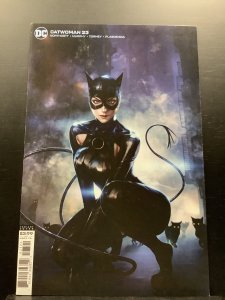 Catwomen #23 Variant (2020)