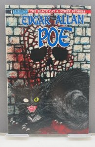 Edgar Allan Poe: The Black Cat and Other Stories (1989)