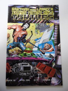 Teenage Mutant Ninja Turtles #30 (1990) FN/VF Condition