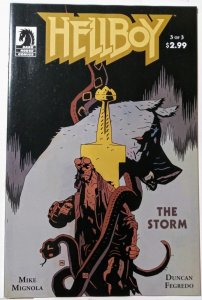 Hellboy: The Storm #3 (2010)