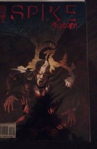 Spike: Asylum #3 (2006)