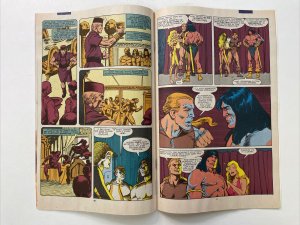 Conan The Barbarian 228
