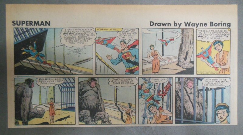 Superman Sunday Page #967 by Wayne Boring from 5/11/1958 Size ~7.5 x 15 inches