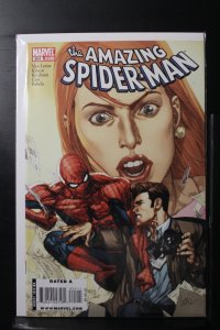 The Amazing Spider-Man #604 (2009)