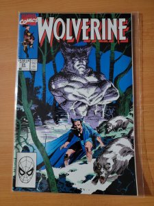Wolverine #25 (1990)