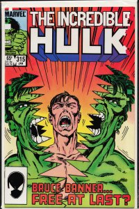 The Incredible Hulk #315 (1986) Hulk