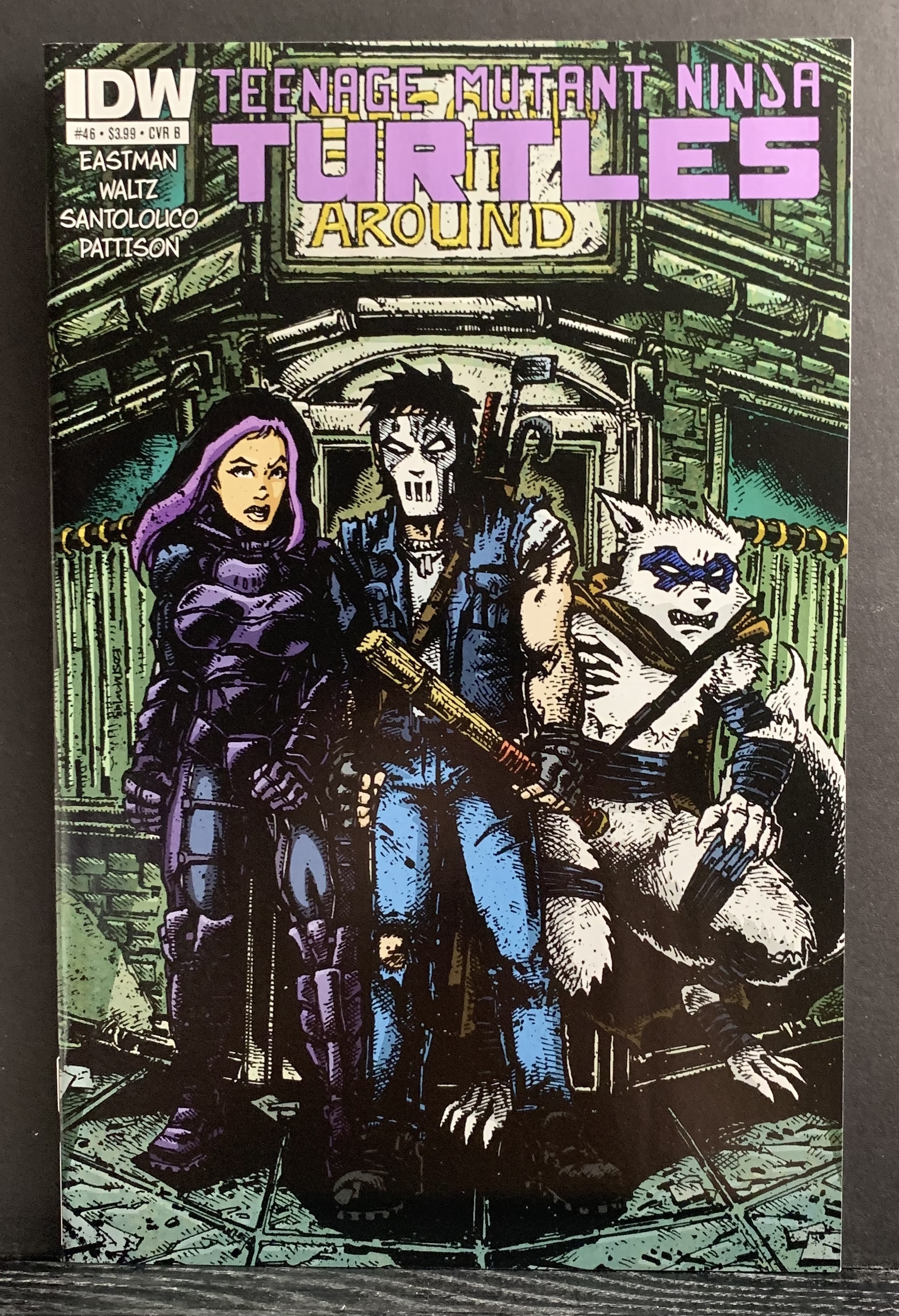 Teenage Mutant Ninja Turtles #46 (2015) Kevin Eastman Variant Cover  Comic  Books - Modern Age, IDW, Teenage Mutant Ninja Turtles, Funny Animal /  HipComic